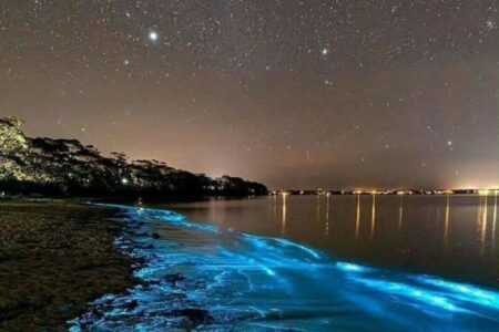 收藏了一些让人惊艳的古文情话