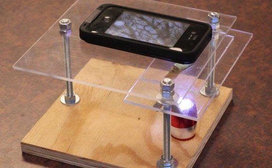 看动物细胞有丝分裂 智能手机变高倍数码显微镜